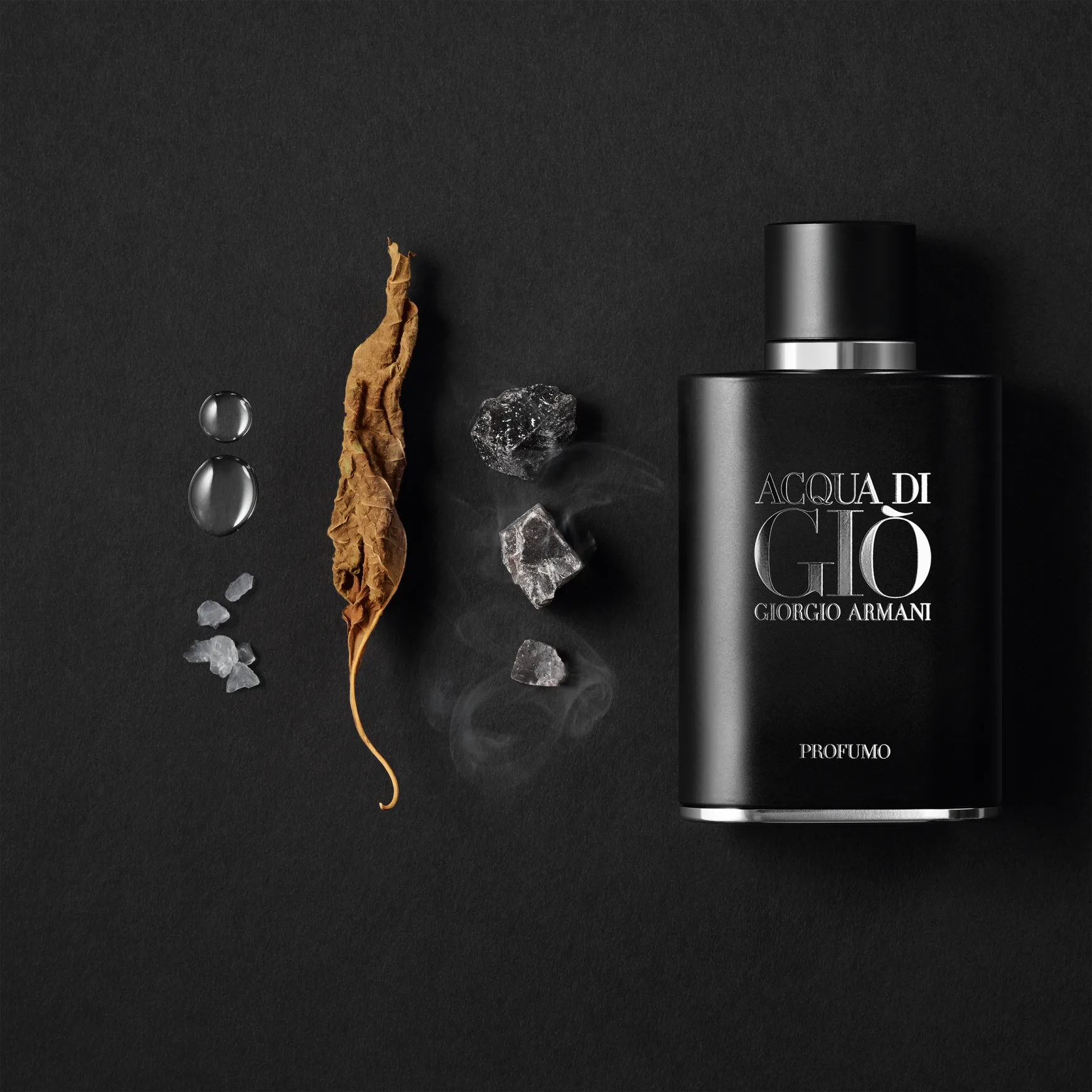 Acqua Di Giò Profumo Giorgio Armani - Eau de Parfum - Pour hommes